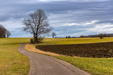 Stormy landscape