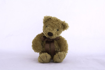 Brown teddy bear on white background.
