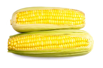 Corn isolate photo on white background.