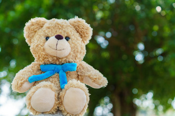 Teddy bear in park ,soft focus