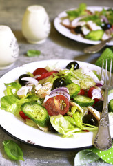 Vegetable salad with chicken and black olives on a white plate.