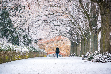 Walking through winter