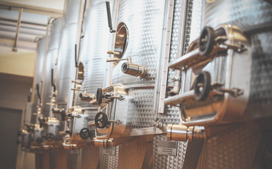 Modern Winery