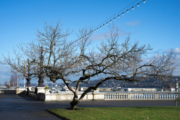 Geneva cityscape