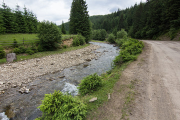 Road and green trees near river in mountains village during summer