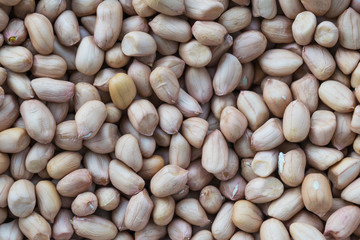 Peanut texture for background