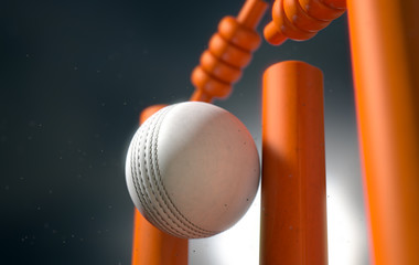 Cricket Ball Hitting Wickets
