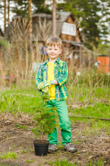Happy little boy with tree seedling