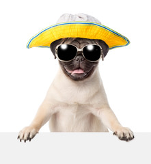 Dog in sunglasses and hat peeking from behind empty board. isolated on white
