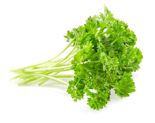 Fresh parsley on a white background