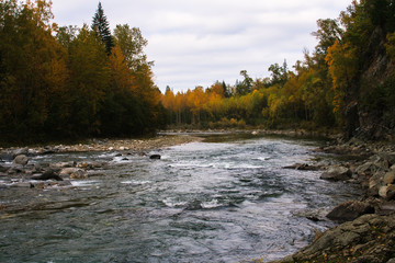 Obraz premium Utulik