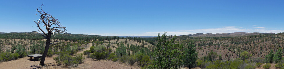 Fototapeta na wymiar Panoramic View of the Bunyeroo Valley, Flinders Ranges National Park,Australia