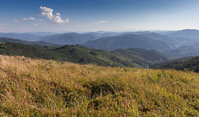 Unique summer Carpathian mountain landscape