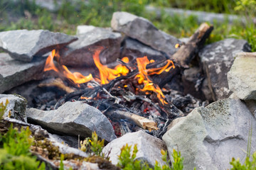 Bright bonfire in green summer forest in camp