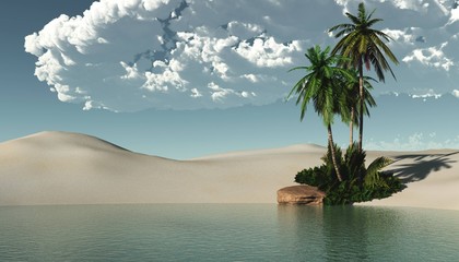 Beautiful oasis in the desert sand, palm trees on the shore of the lake

