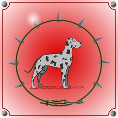 dog breed mastiff on a red background. Frame in the form  of the collar