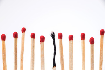 Burnt match between new matchsticks, shallow depth of field