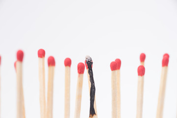 Burnt match between new matchsticks, shallow depth of field