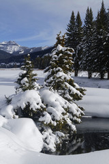 Winter landscape in Lamar Valley, Yellowstone National Park