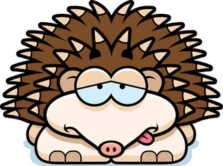 Sick Little Hedgehog
