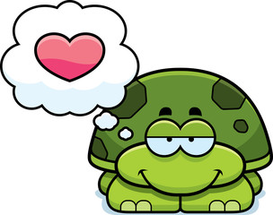Little Turtle in Love