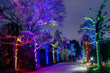 Parkleuchten im Grugapark 2017