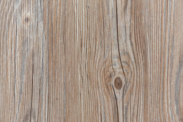 Wood Texture
