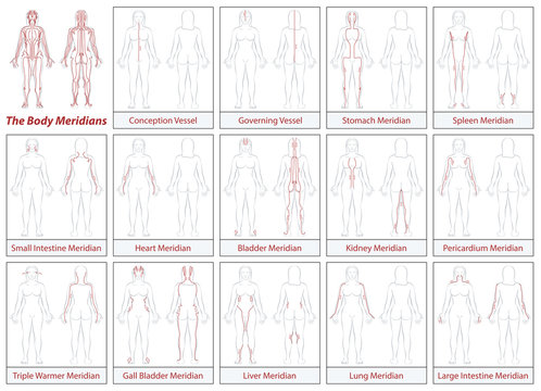 Body meridians chart - female body - schematic diagram with main acupuncture meridians and their directions of flow.