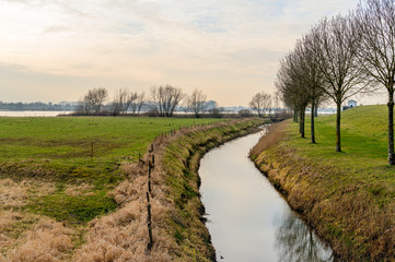 Fototapeta na wymiar Floodplains of a wide Dutch river in the winter season with a row of trees beside a stream 