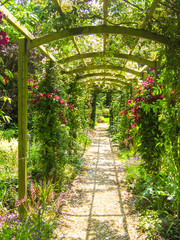 Fototapety  The pergola in summertime providing a wonderful entrance to the