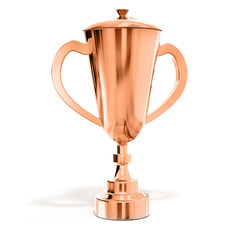 champion bronze trophy cup