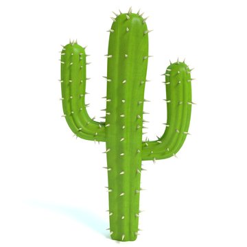 3d illustration of a cartoon cactus