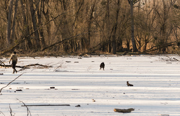 Forest edge of the frozen lake plays a girl with the dog