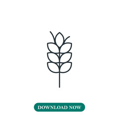 Wheat icon vector