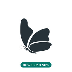 Butterfly icon vector