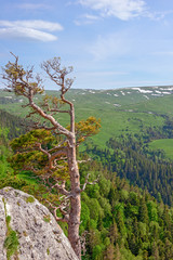 Mountain landscape