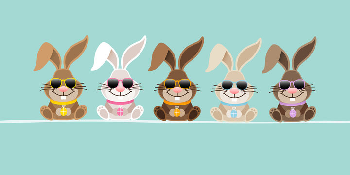5 Cute Rabbits Sunglasses Retro Banner