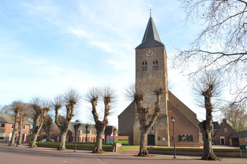 dorpskerk van Zelhem in de gemeente bronckhorst omzoomd door geknotte bomen