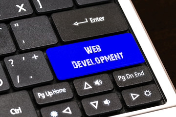 Business Concept - Blue Web Development Button on Slim