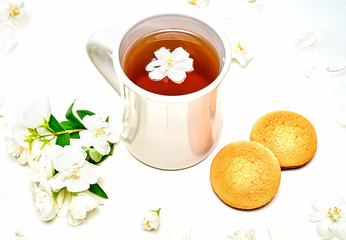 Tea cup with fragrant Jasmine flowers and cookies in background