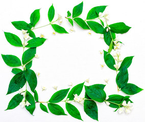 Fototapeta premium Wreath of jasmine flowers and leaves on the white background