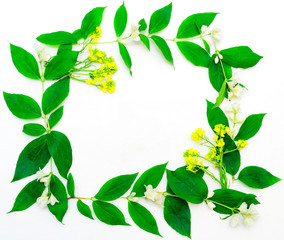 Fototapeta premium Wreath of jasmine flowers and leaves and yellow flowers