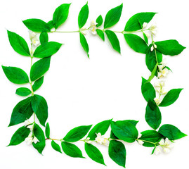 Fototapeta premium Wreath of jasmine flowers and leaves on white background