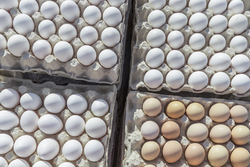 Fresh Farm Eggs -- at an outdoor market, stacked in trays