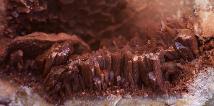 Brown calcite crystal grown in a rock cavity
