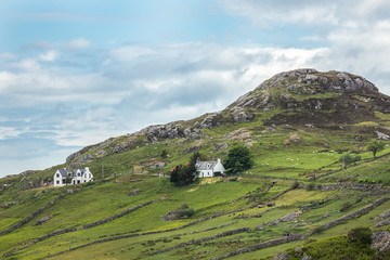Fototapeta na wymiar Northwest Coast, Scotland - June 6, 2012: Green rocky hill descends into Loch Inchard. Couple of white houses on green sloped and walled pastures with sheep