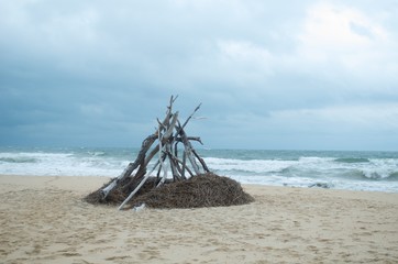 Fototapeta premium Driftwood 
