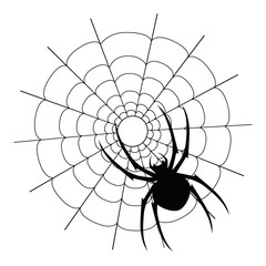 Vector black spider and web silhouette