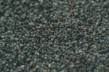 poppy macro