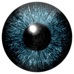 Realistic colorful eye iris texture